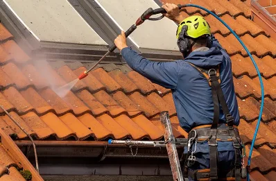 Démoussage et hydrofuge de toiture au Bignon